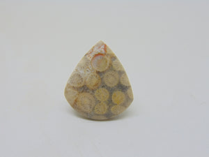 5.5mm Fossilized Coral Stone Guitar Guitar Pick